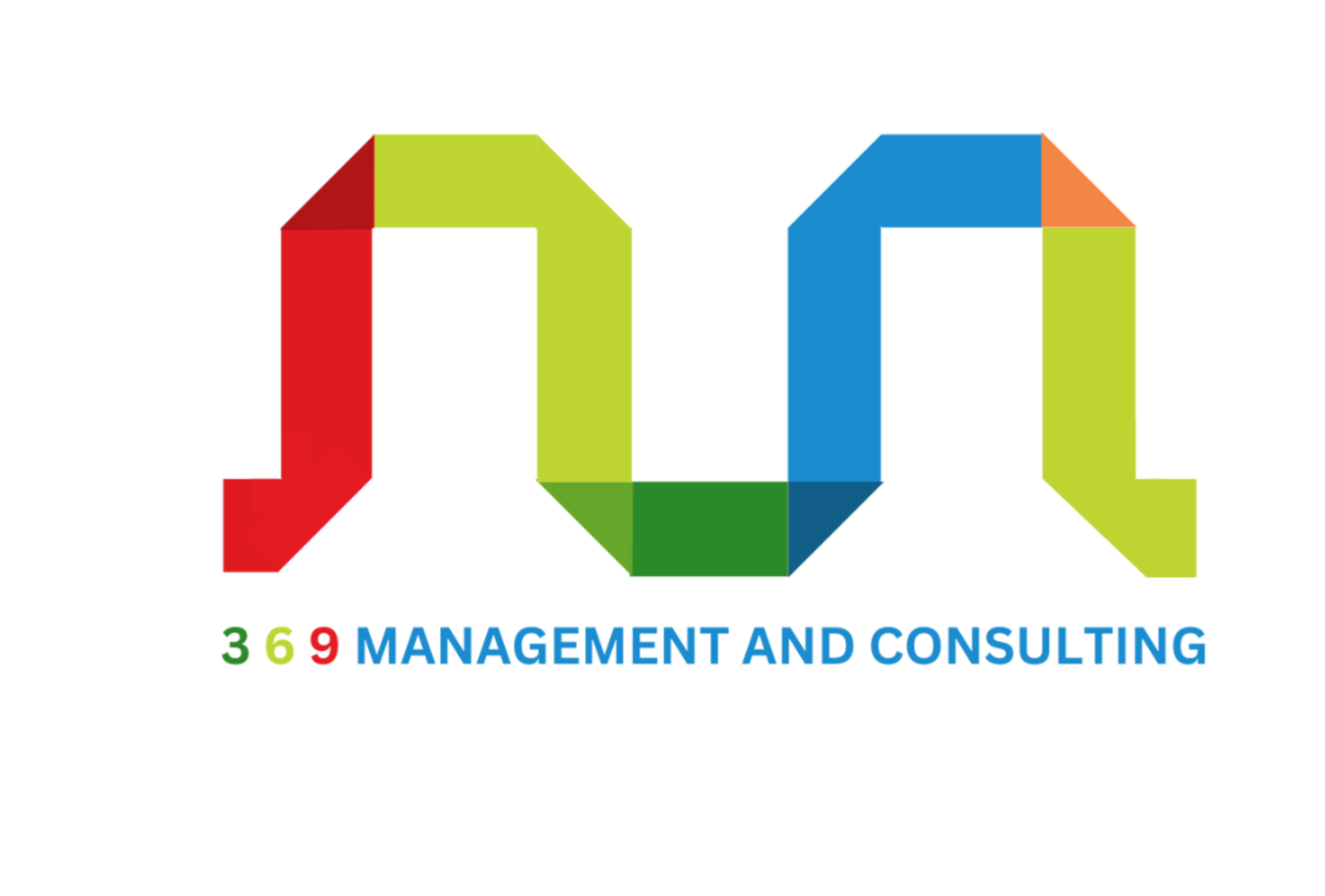 3 6 9 Management & Consulting Pvt Ltd